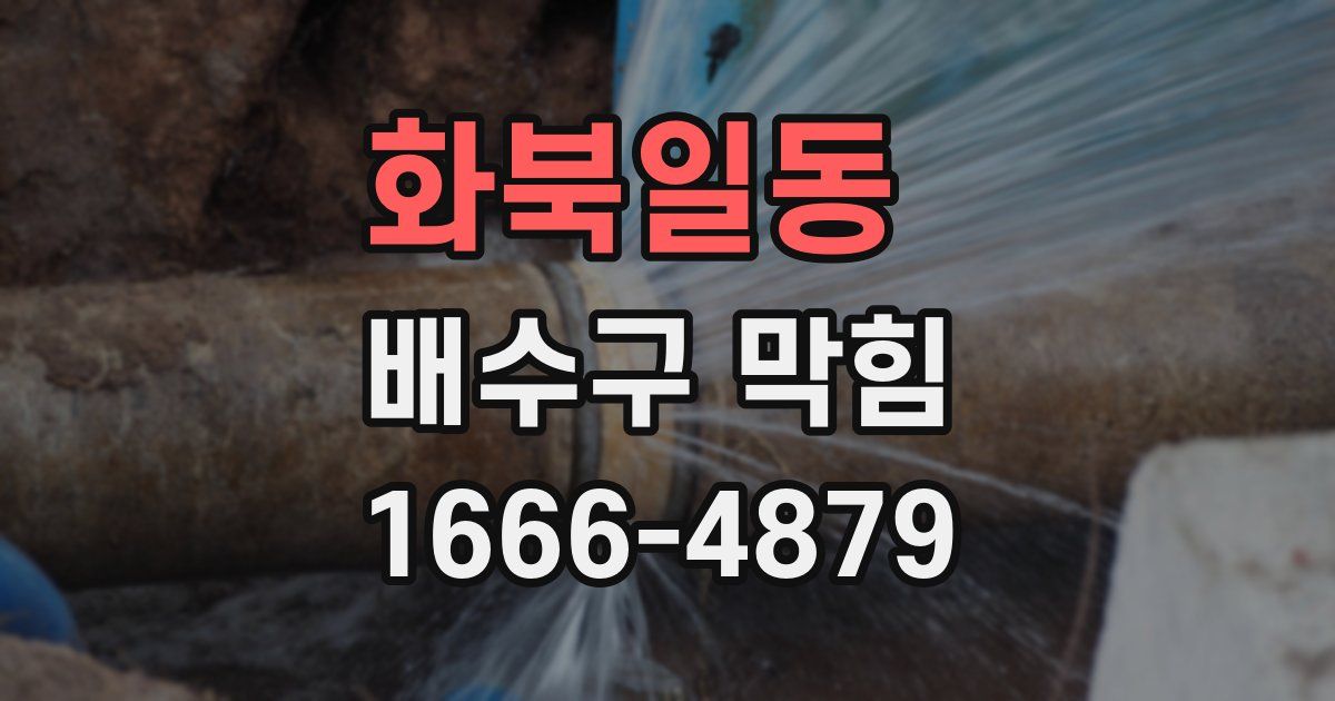 화북일동 배수구 막힘