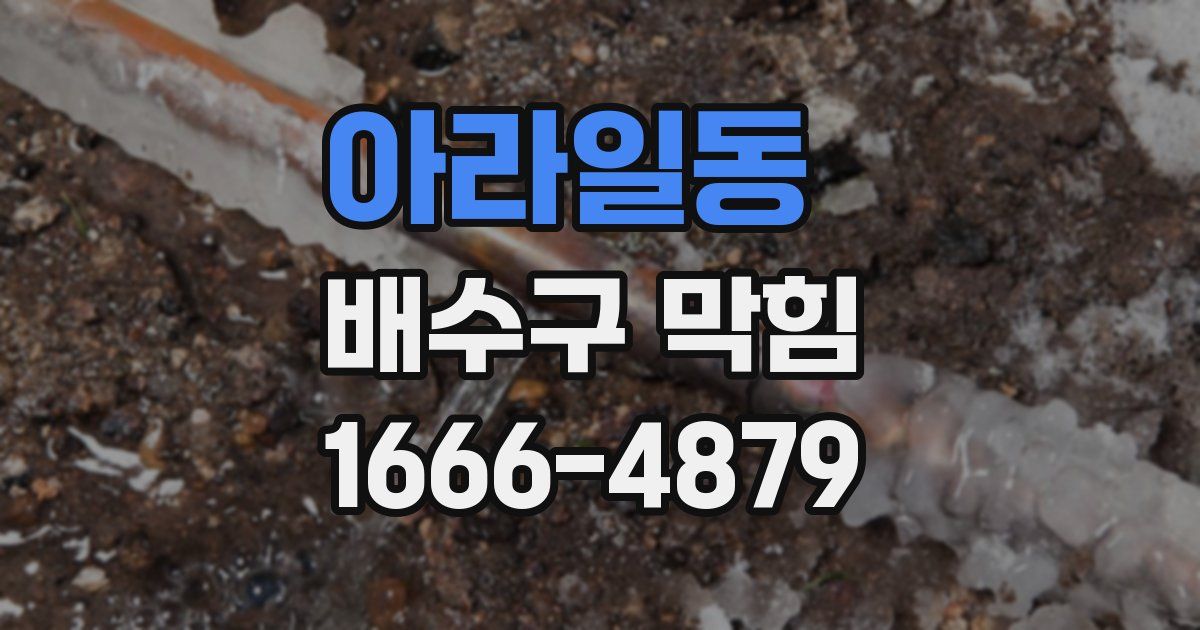아라일동 배수구 막힘
