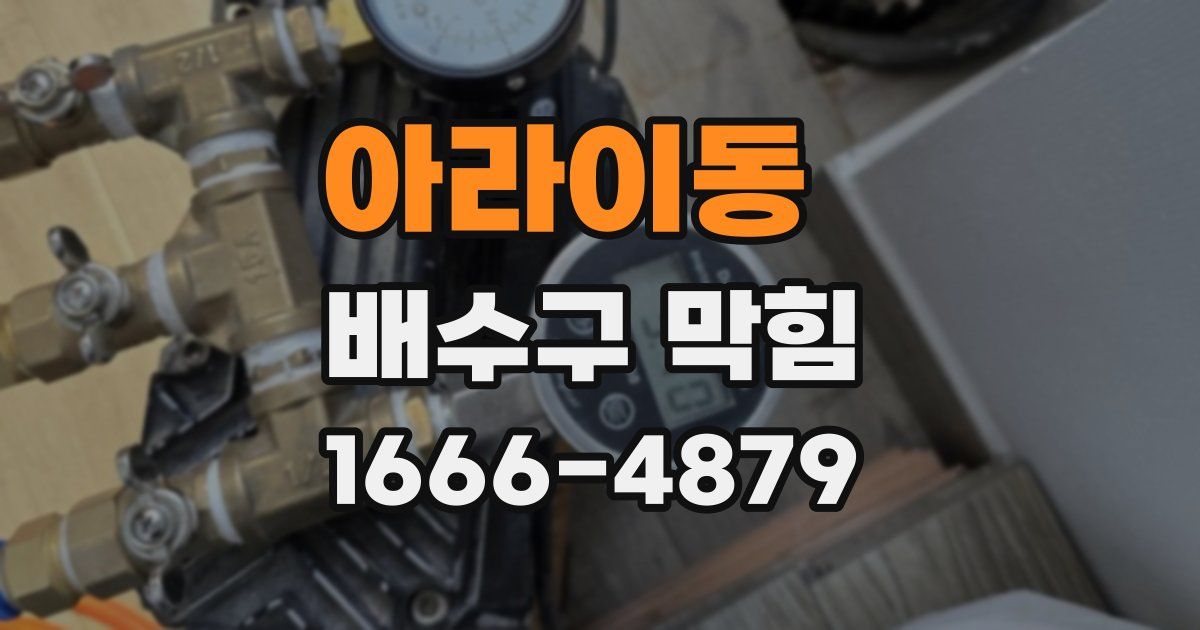 아라이동 배수구 막힘