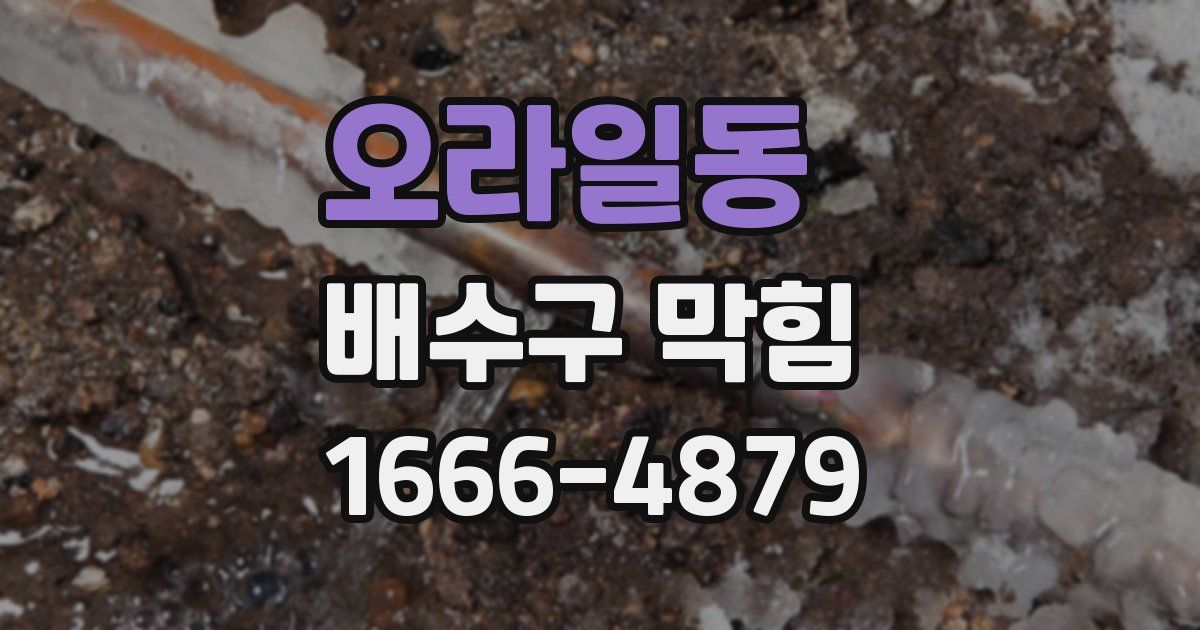 오라일동 배수구 막힘