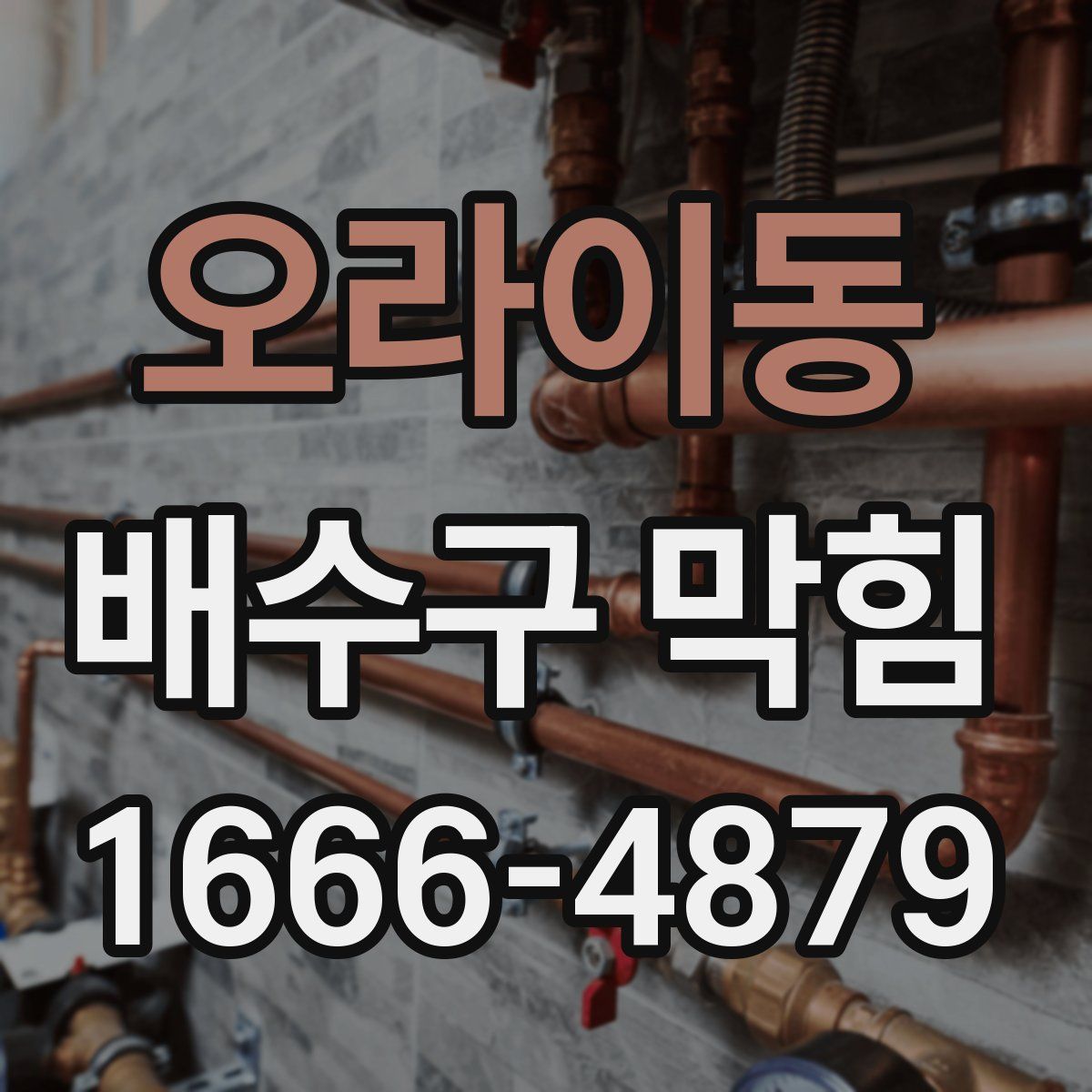 오라이동 배수구 막힘