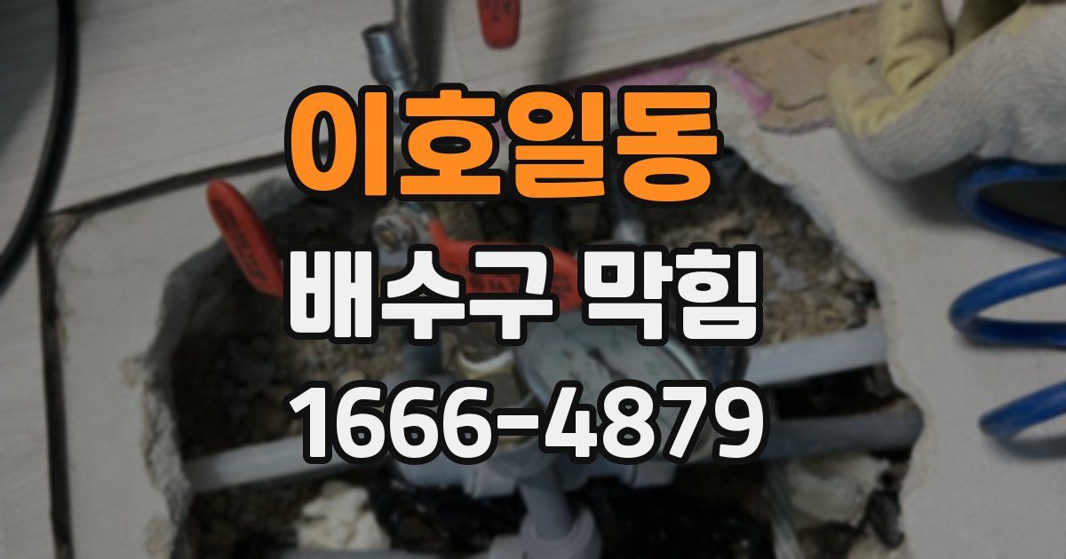 이호일동 배수구 막힘