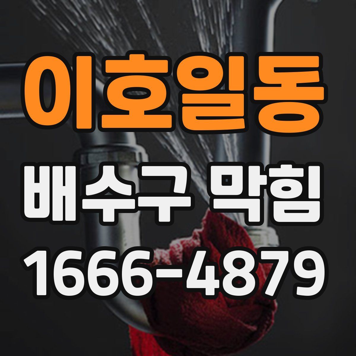 이호일동 배수구 막힘