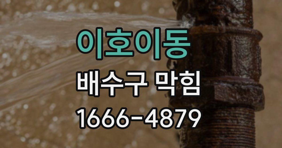 이호이동 배수구 막힘
