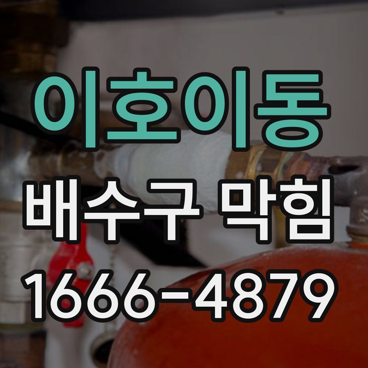 이호이동 배수구 막힘