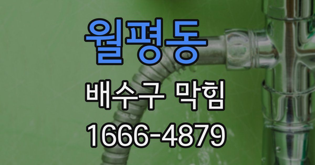 월평동 배수구 막힘