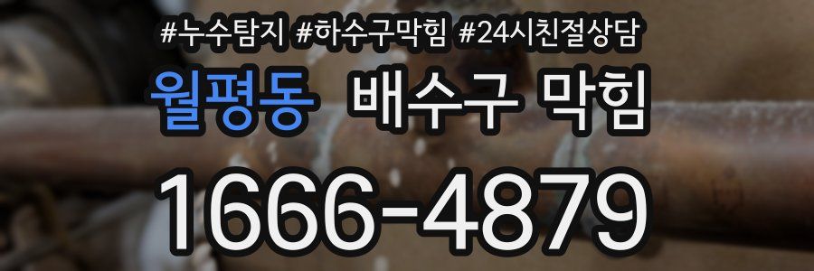 월평동 배수구 막힘
