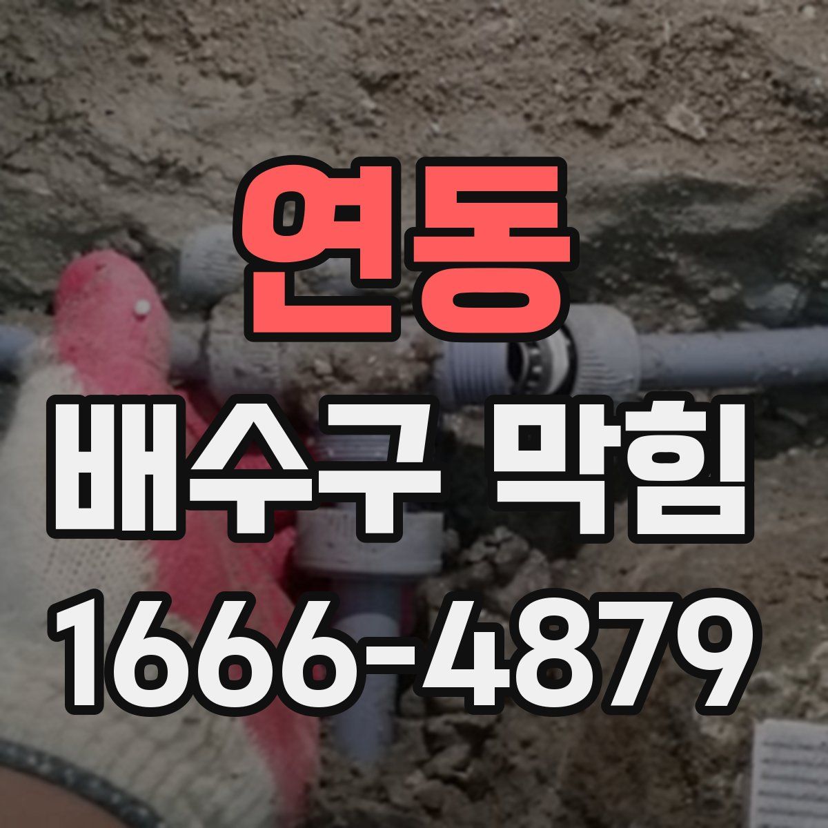 연동 배수구 막힘