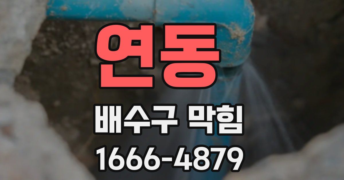 연동 배수구 막힘