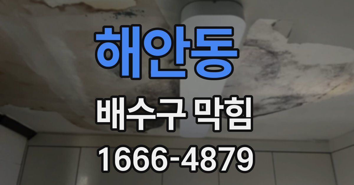 해안동 배수구 막힘