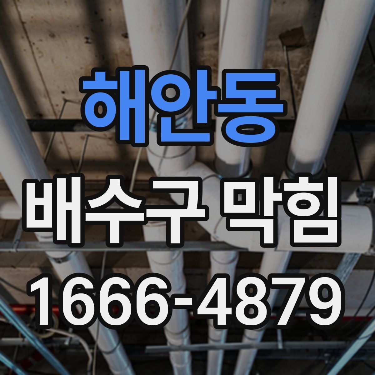 해안동 배수구 막힘