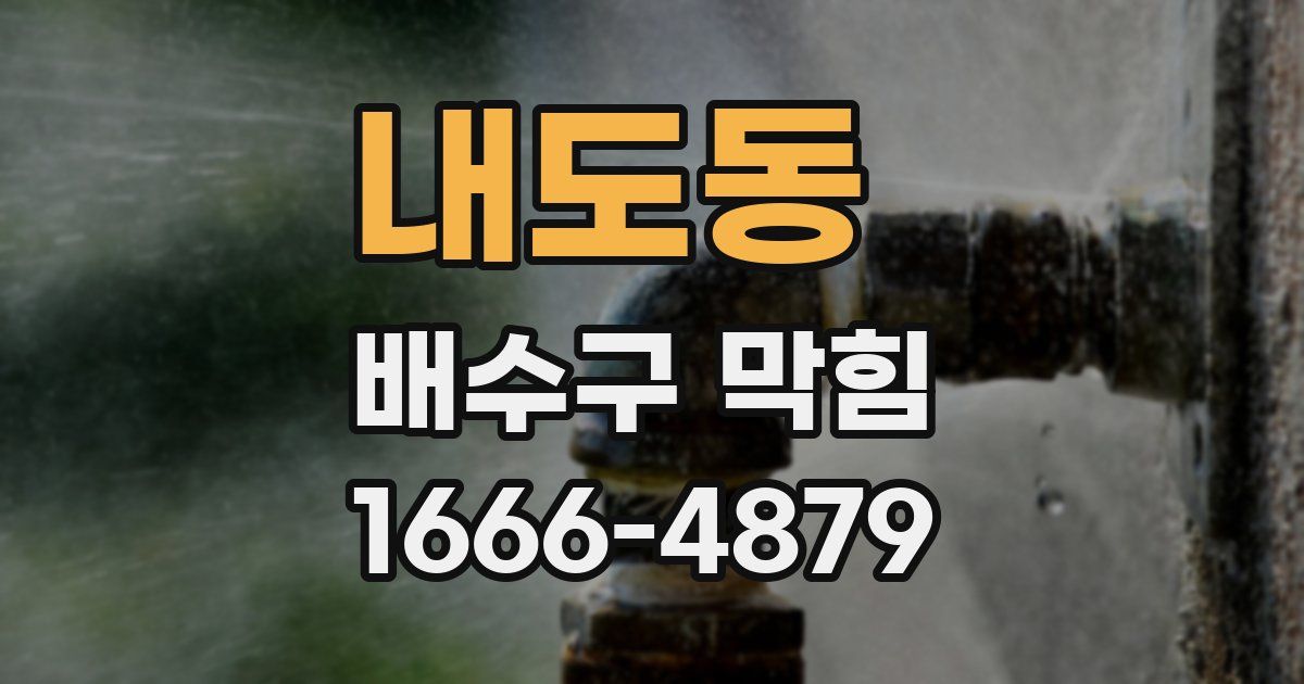 내도동 배수구 막힘