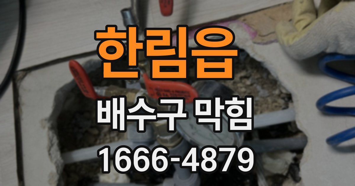 한림읍 배수구 막힘