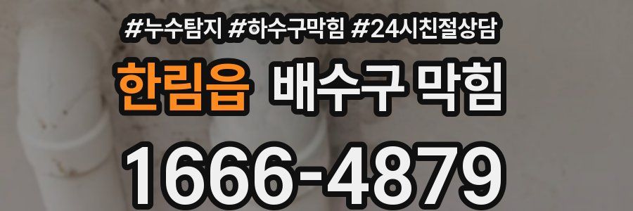 한림읍 배수구 막힘