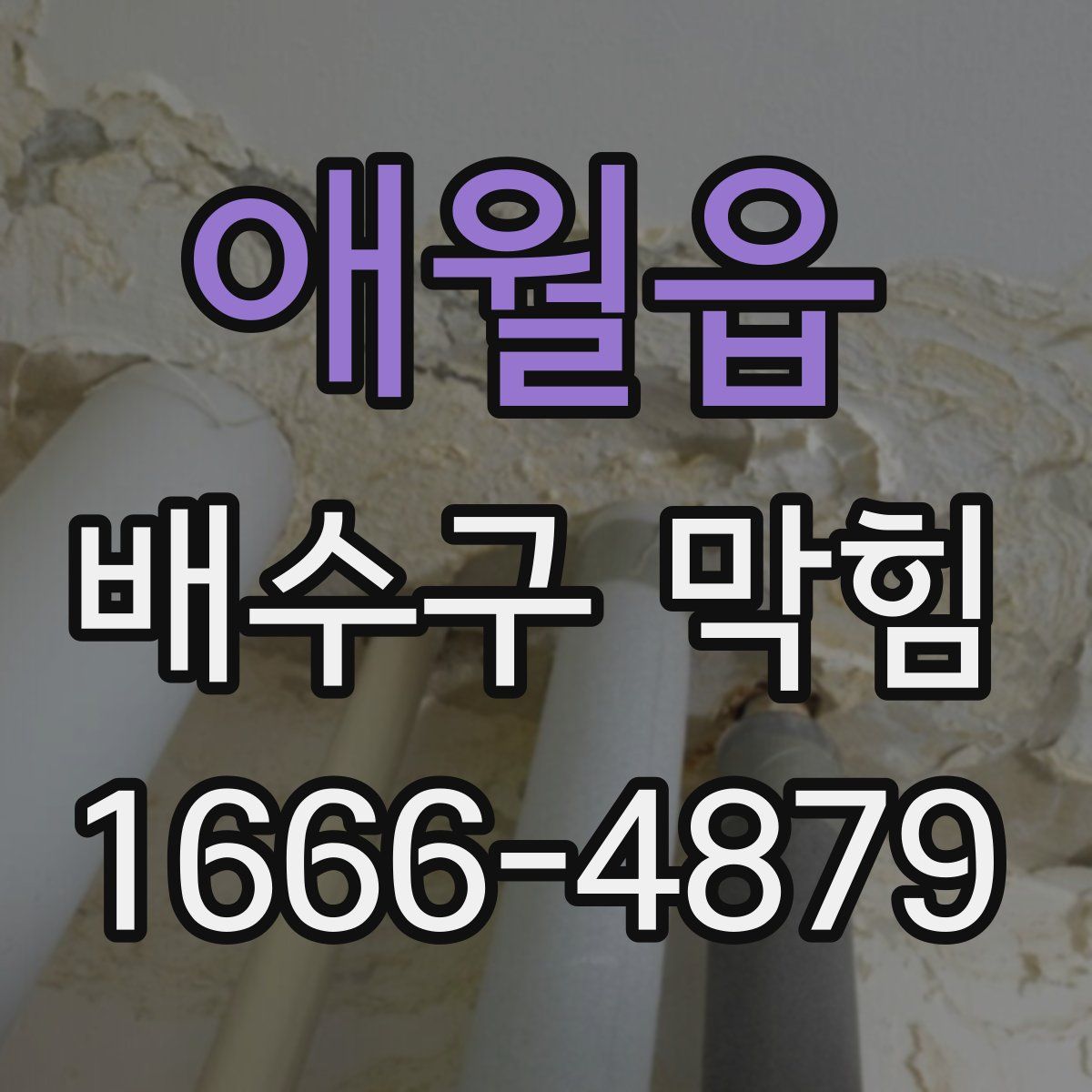 애월읍 배수구 막힘