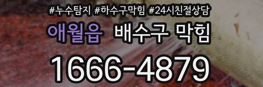 애월읍 배수구 막힘