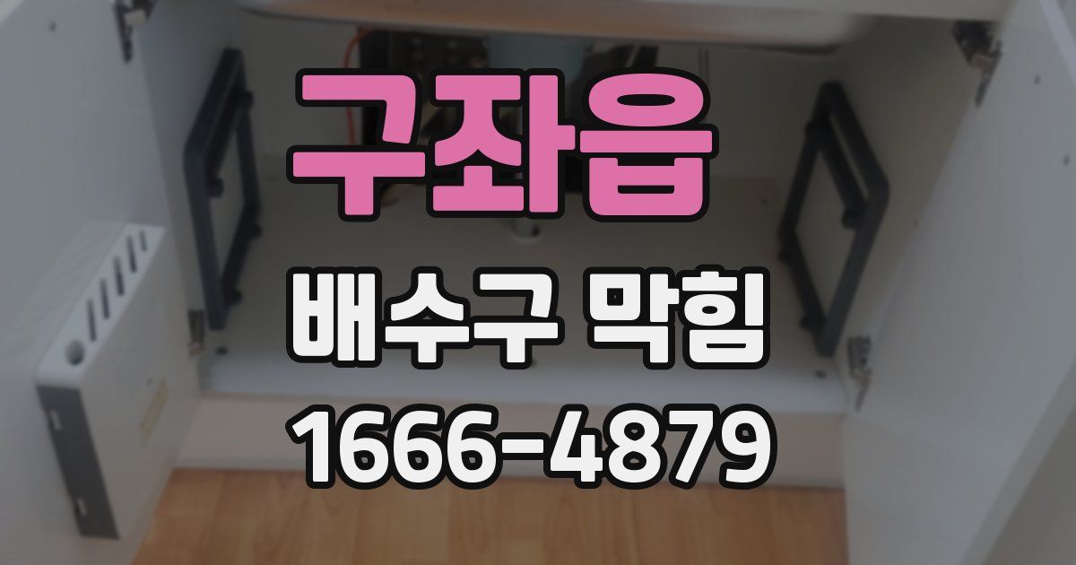 구좌읍 배수구 막힘