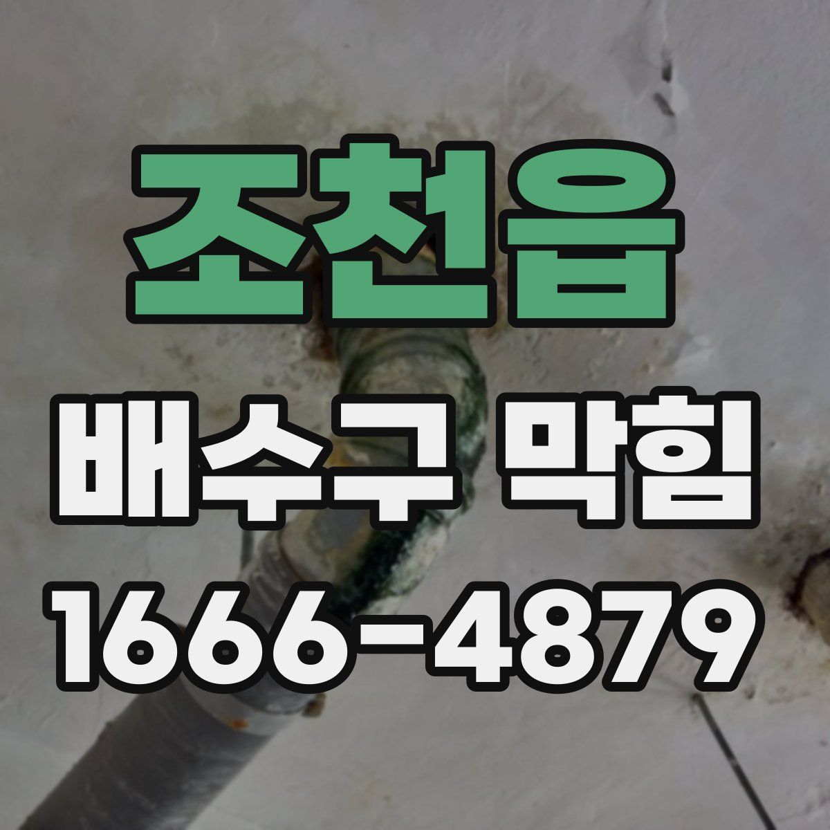 조천읍 배수구 막힘