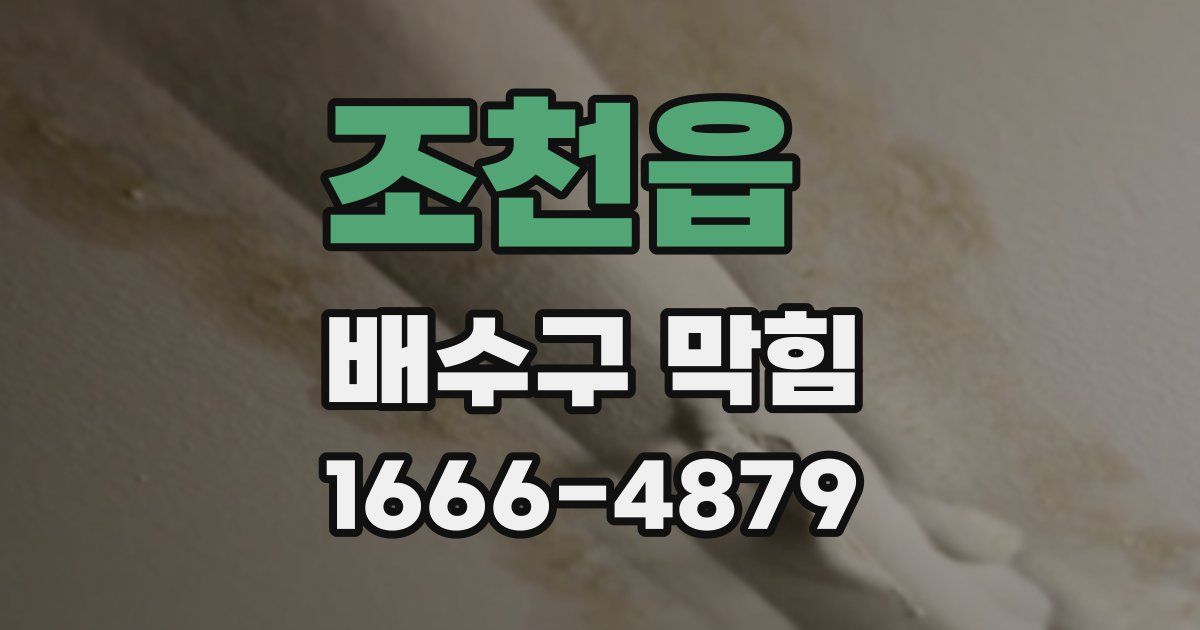 조천읍 배수구 막힘