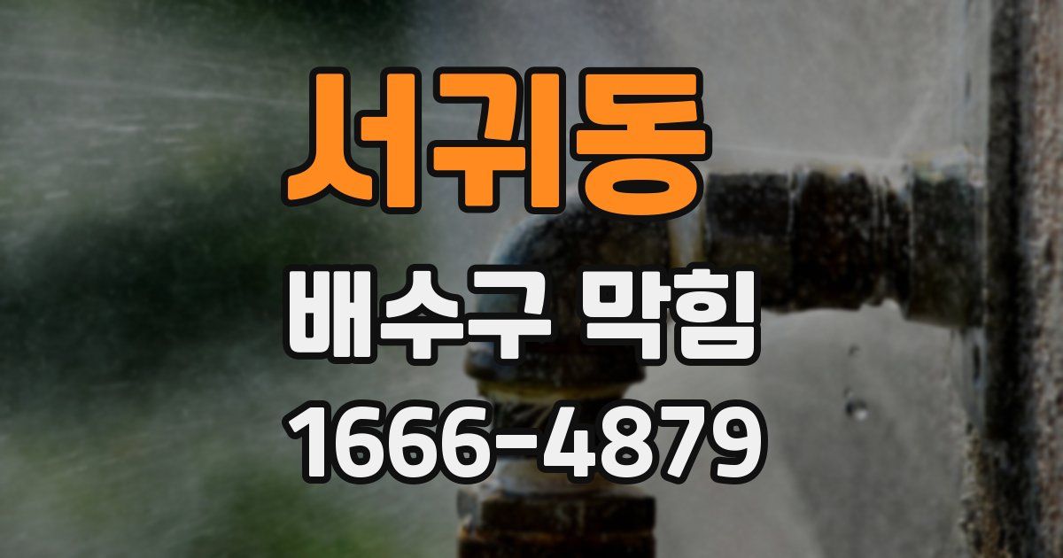 서귀동 배수구 막힘
