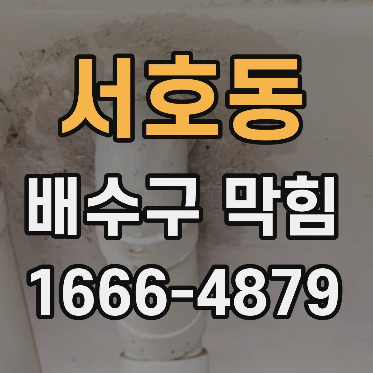 서호동 배수구 막힘