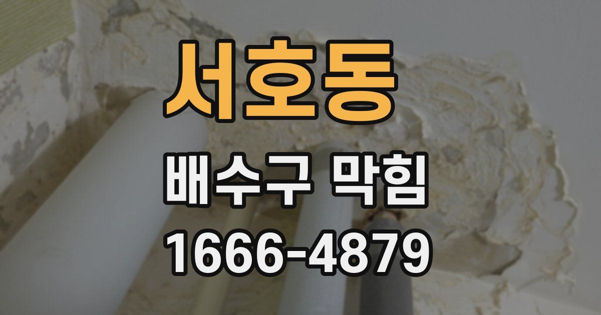 서호동 배수구 막힘