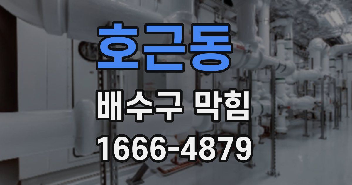호근동 배수구 막힘