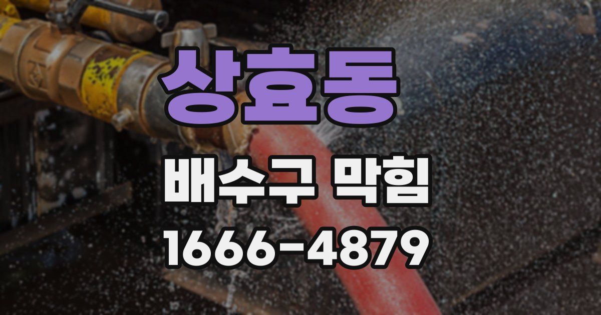상효동 배수구 막힘