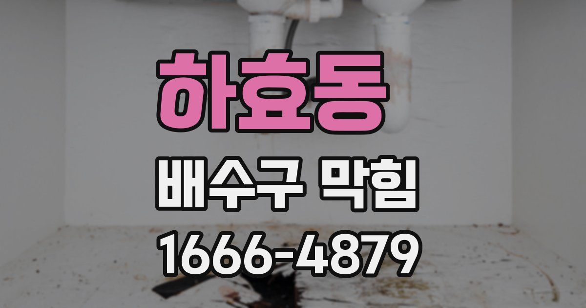하효동 배수구 막힘