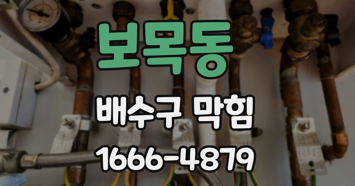 보목동 배수구 막힘