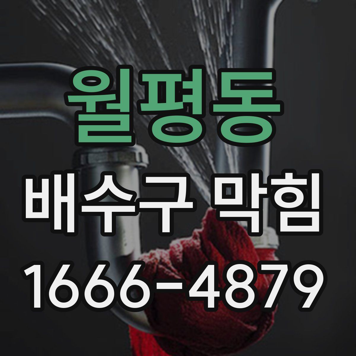 월평동 배수구 막힘