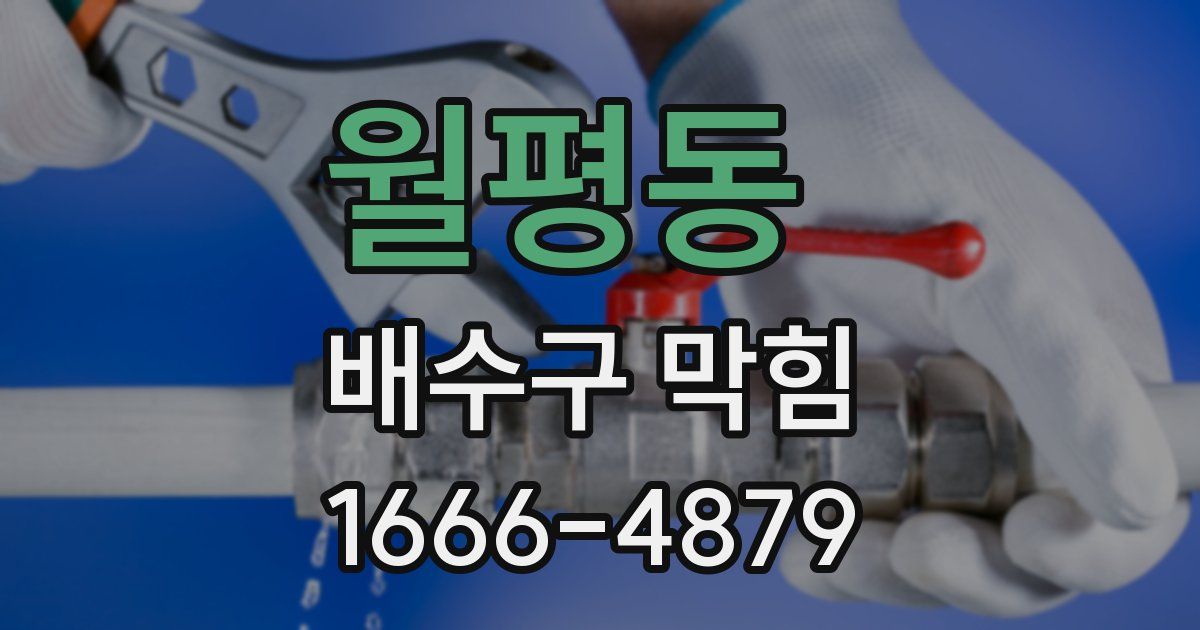 월평동 배수구 막힘
