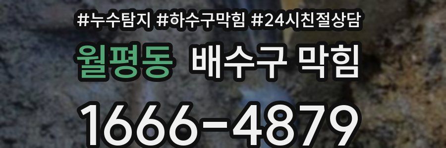 월평동 배수구 막힘
