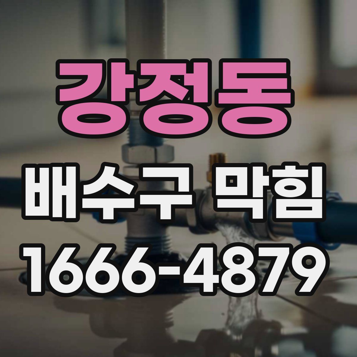 강정동 배수구 막힘