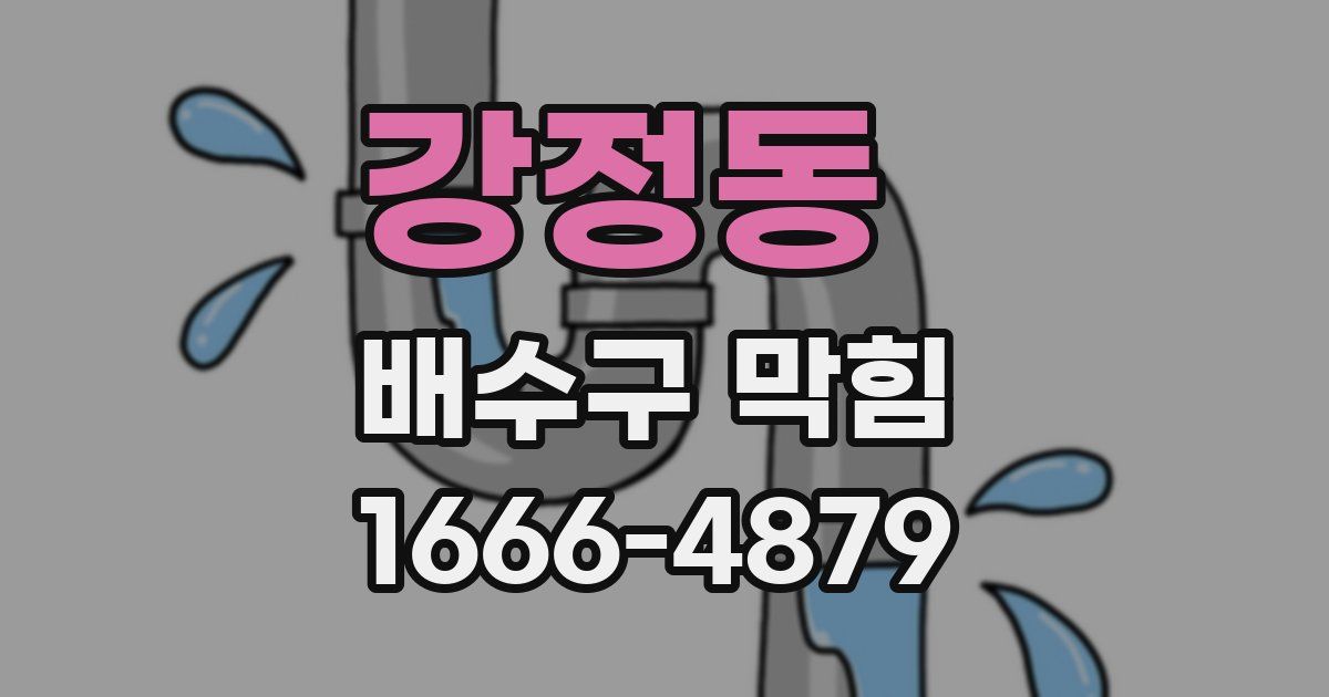 강정동 배수구 막힘
