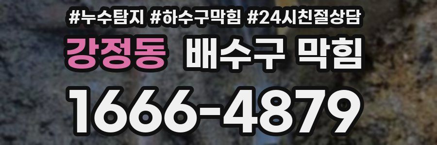 강정동 배수구 막힘