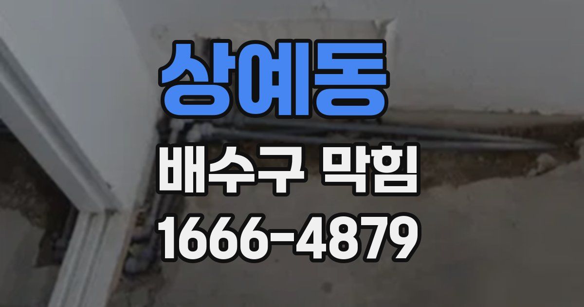 상예동 배수구 막힘
