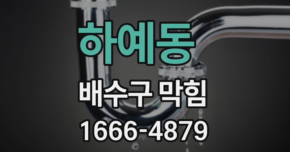 하예동 배수구 막힘