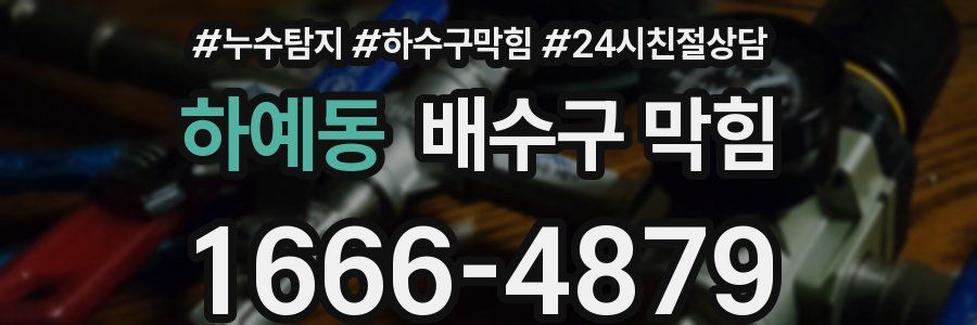 하예동 배수구 막힘
