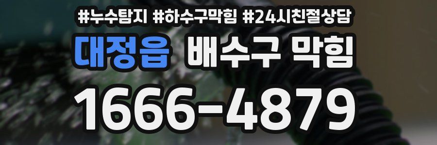 대정읍 배수구 막힘
