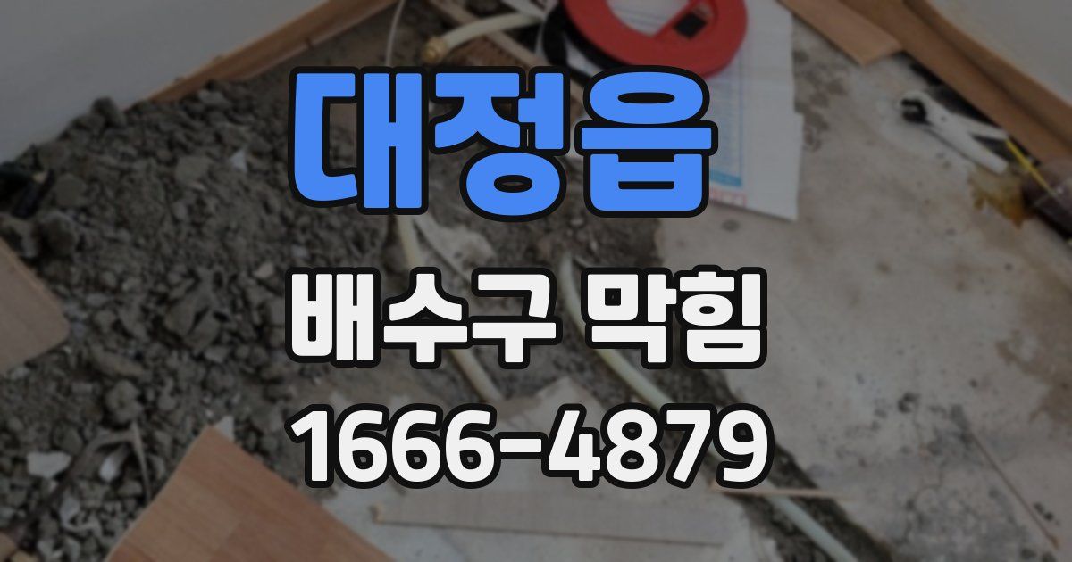 대정읍 배수구 막힘
