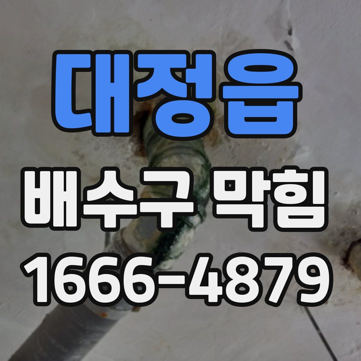 대정읍 배수구 막힘