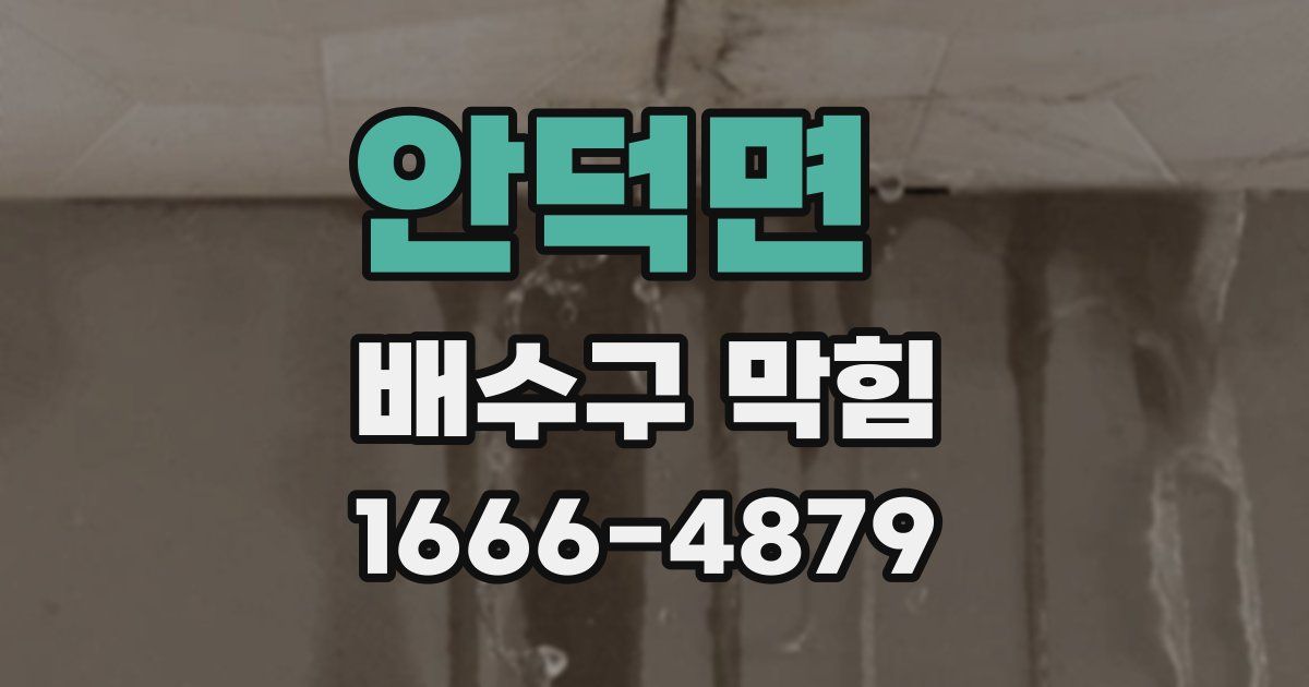 안덕면 배수구 막힘