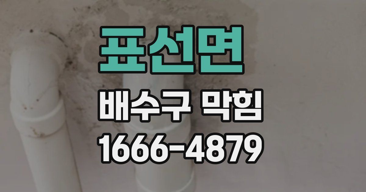 표선면 배수구 막힘