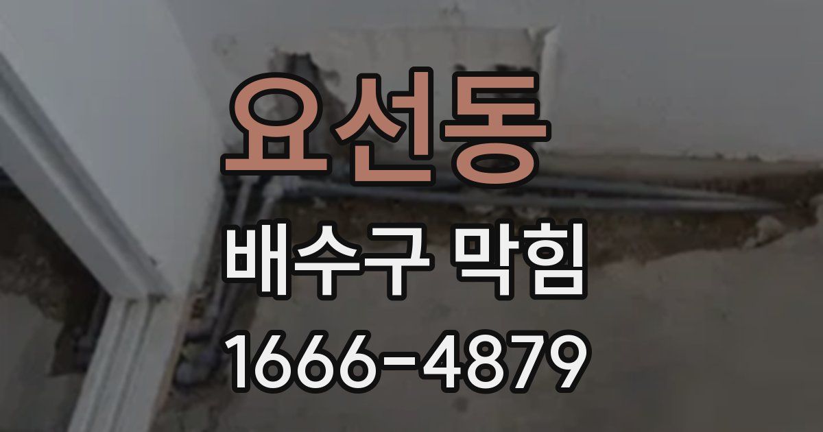 요선동 배수구 막힘