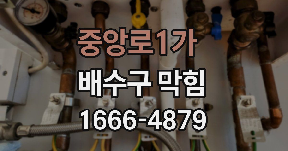 중앙로1가 배수구 막힘