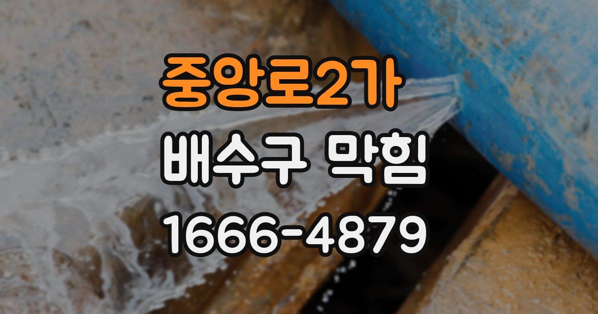 중앙로2가 배수구 막힘