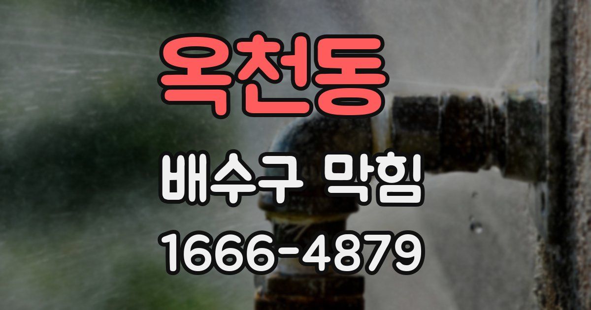 옥천동 배수구 막힘