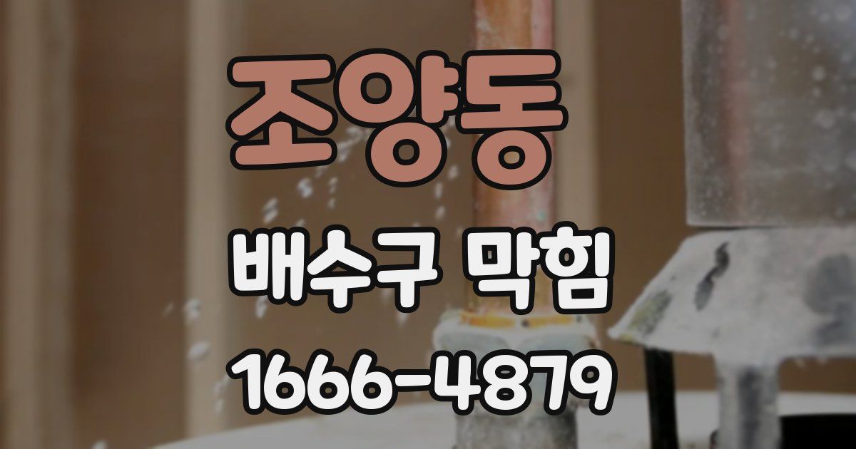 조양동 배수구 막힘