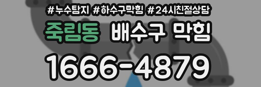 죽림동 배수구 막힘